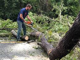 Best Leaf Removal  in Lake Sconsin, WI