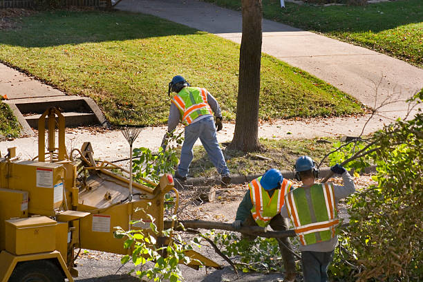 Best Seasonal Cleanup  in Lake Sconsin, WI